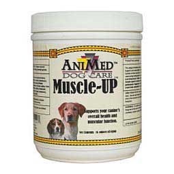 Muscle-Up  Animed
